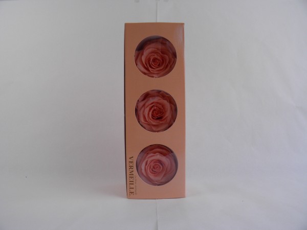 Gefrier Rose Peach